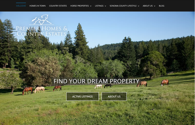 real estate agency web design Sonoma County